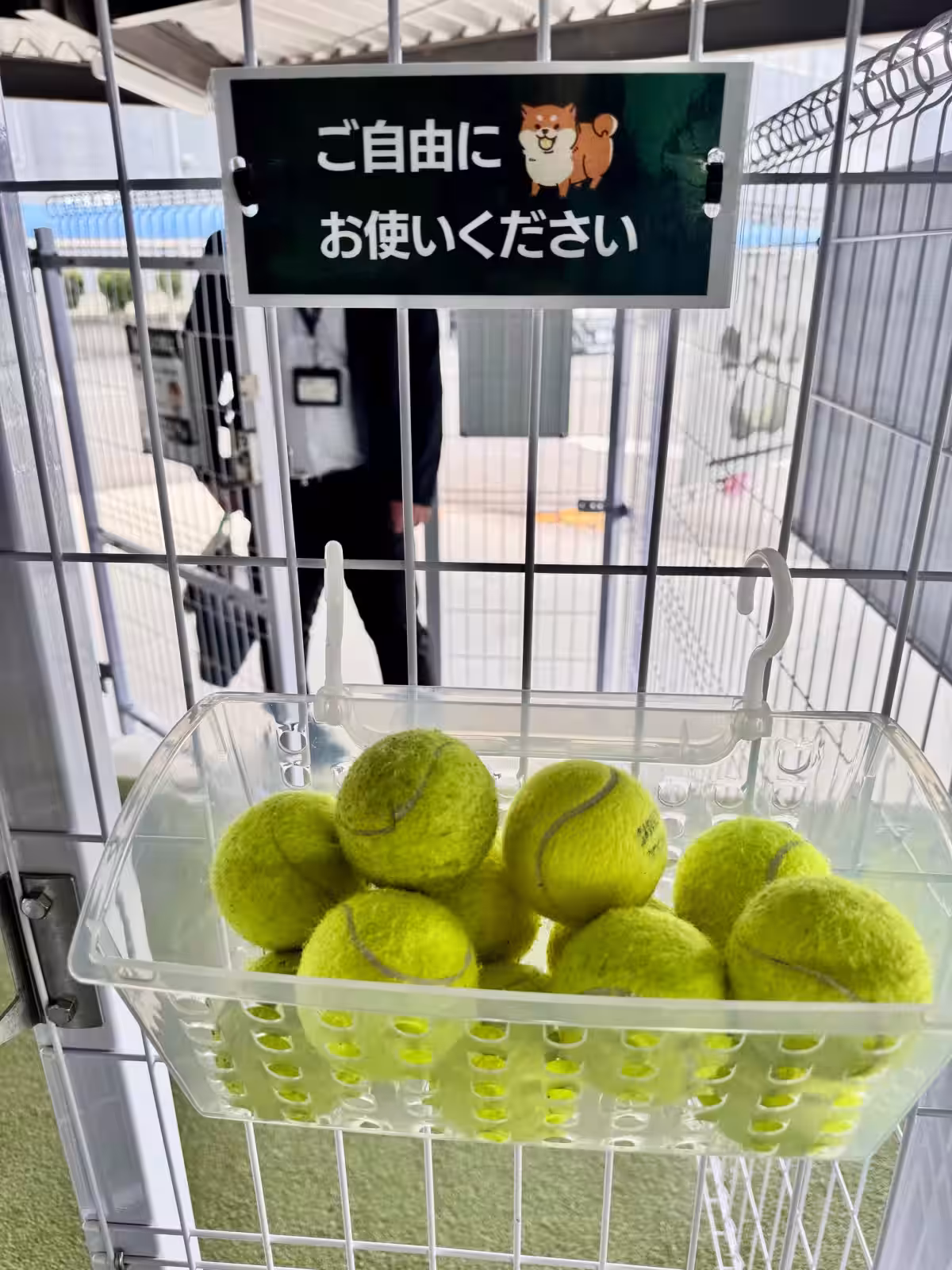 画像17
