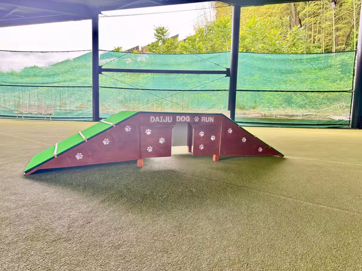 画像11