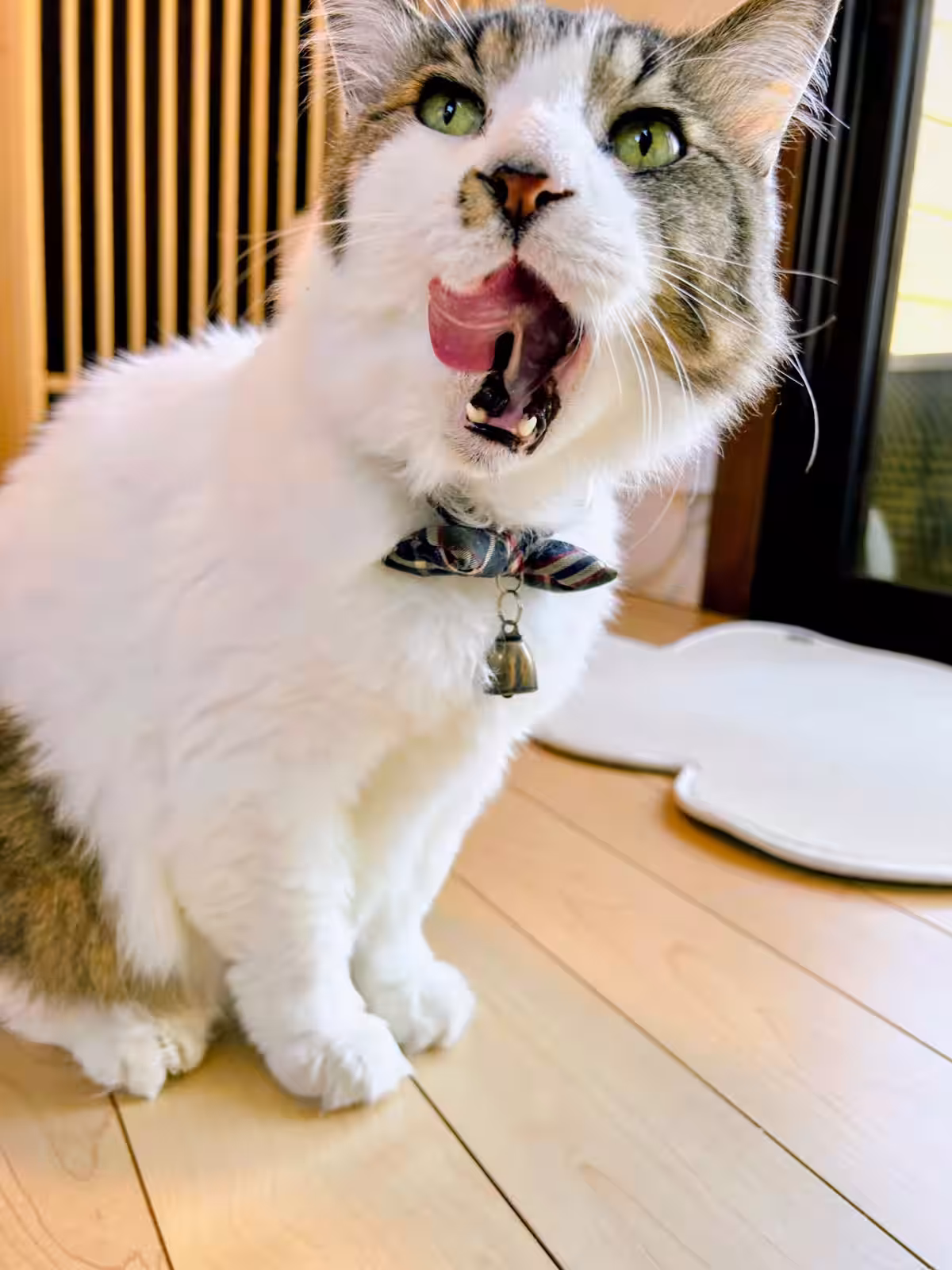 画像7