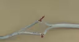 画像14