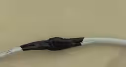 画像15