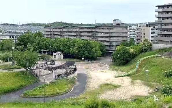 画像7
