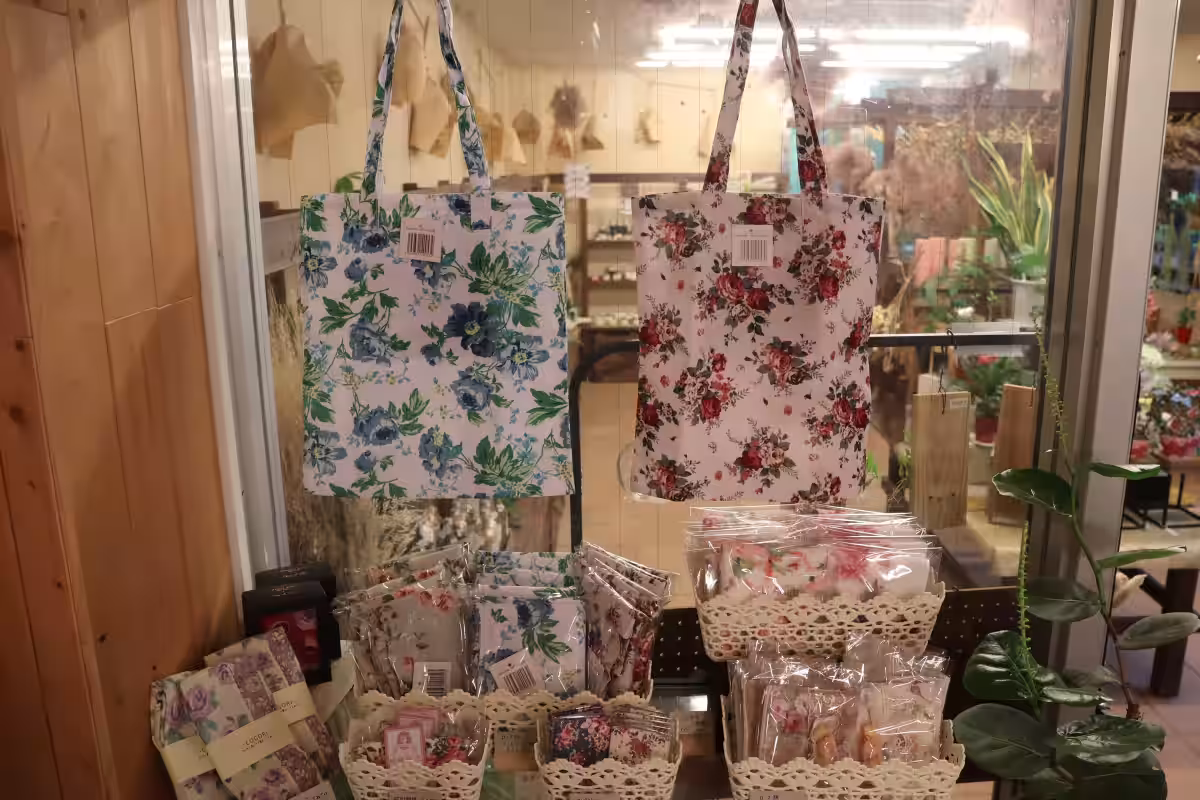 画像12