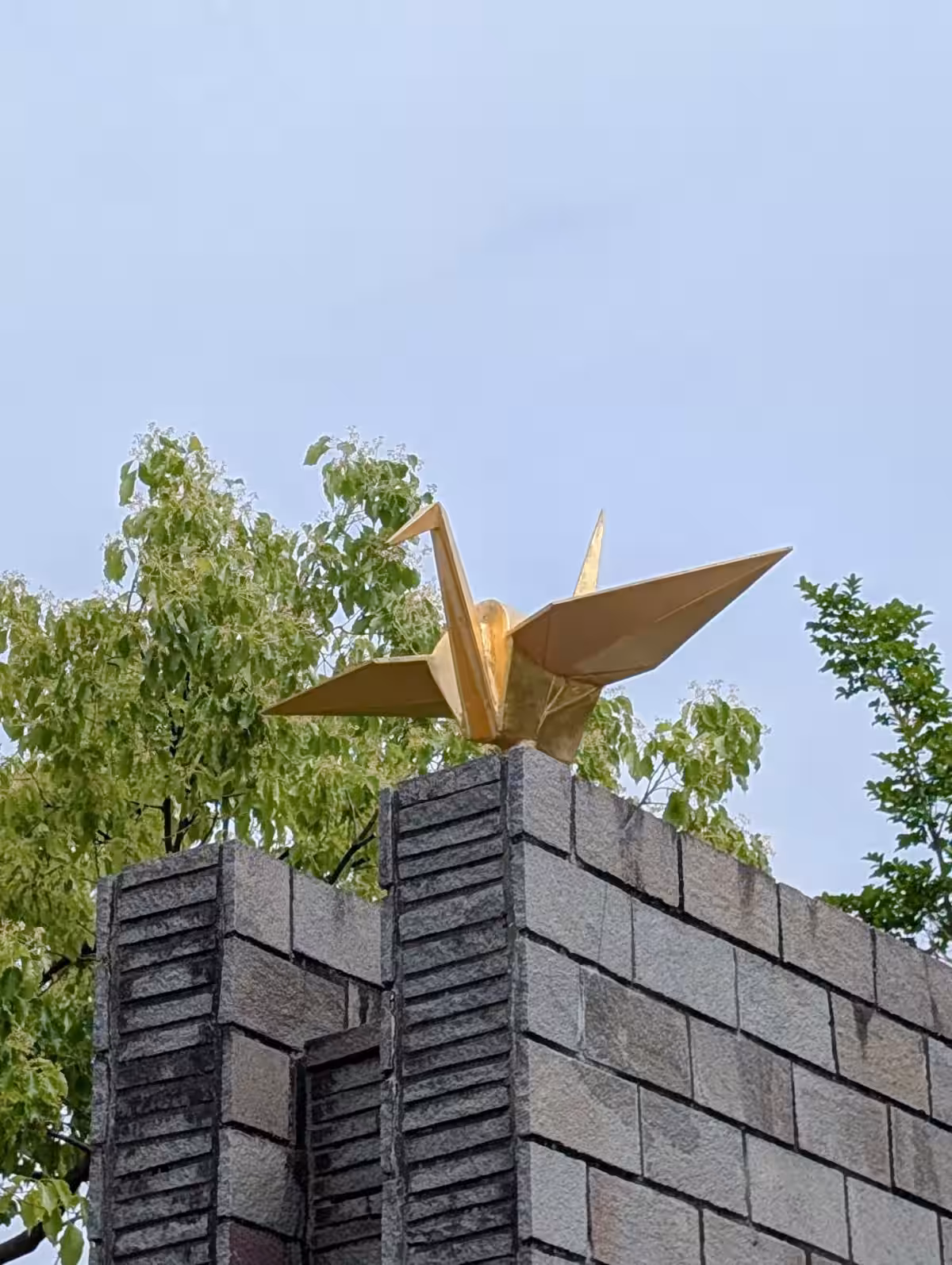 画像20