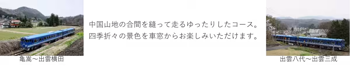 画像15