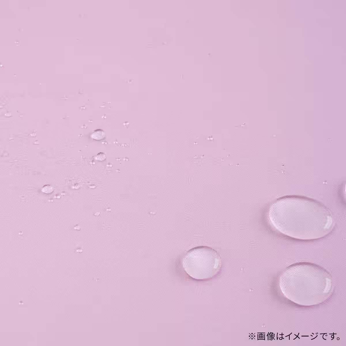画像13