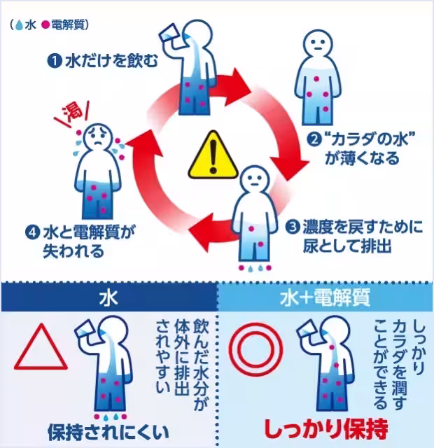 画像15