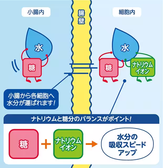 画像14