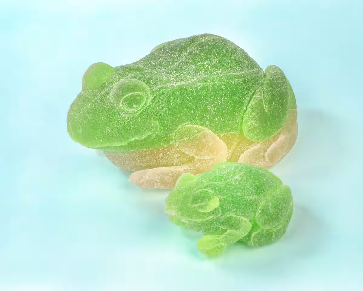 画像8