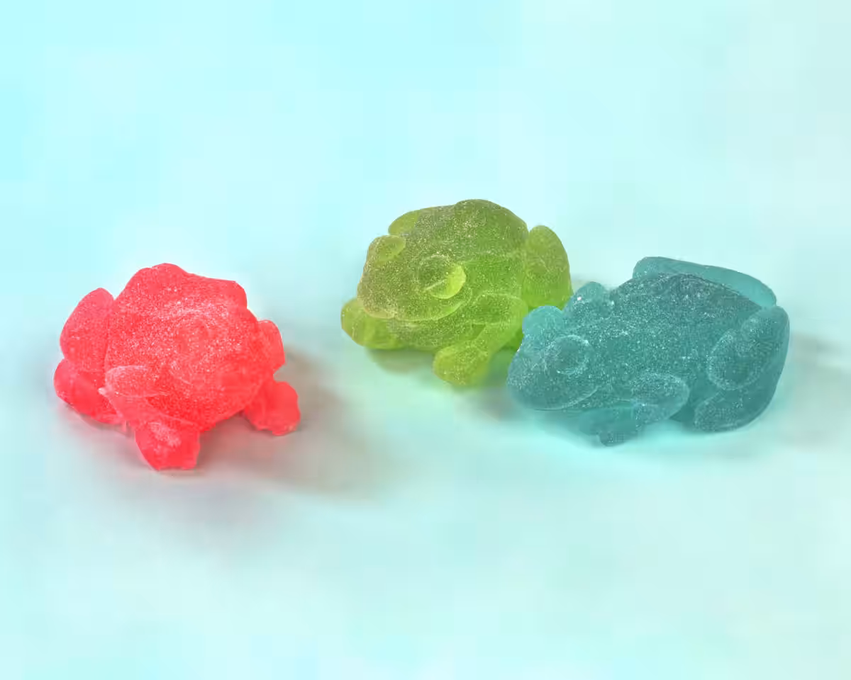 画像9