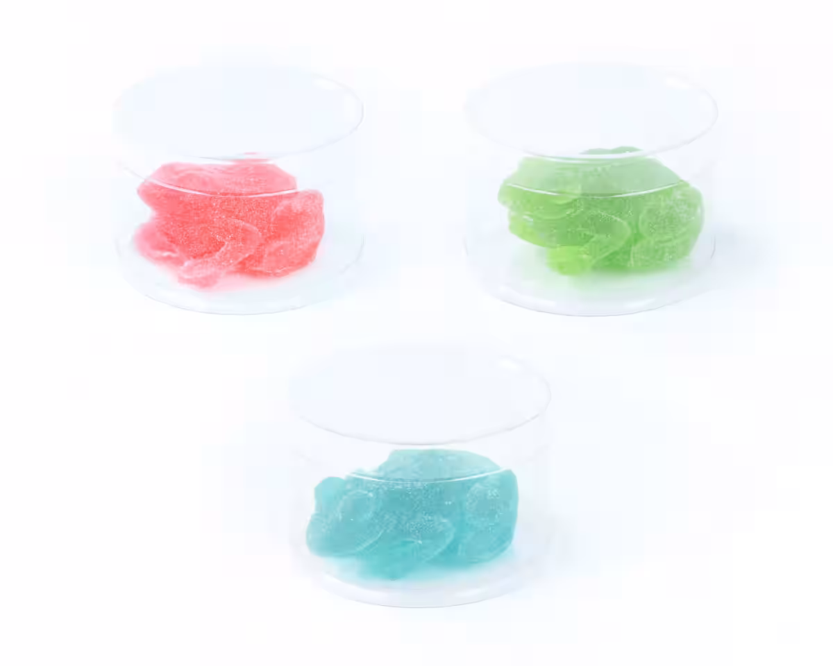 画像11