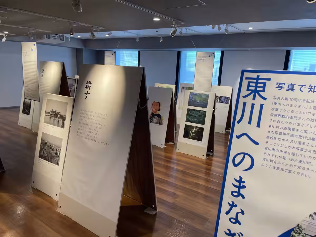 画像7