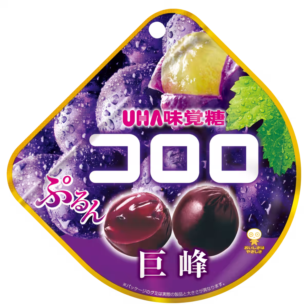 画像4
