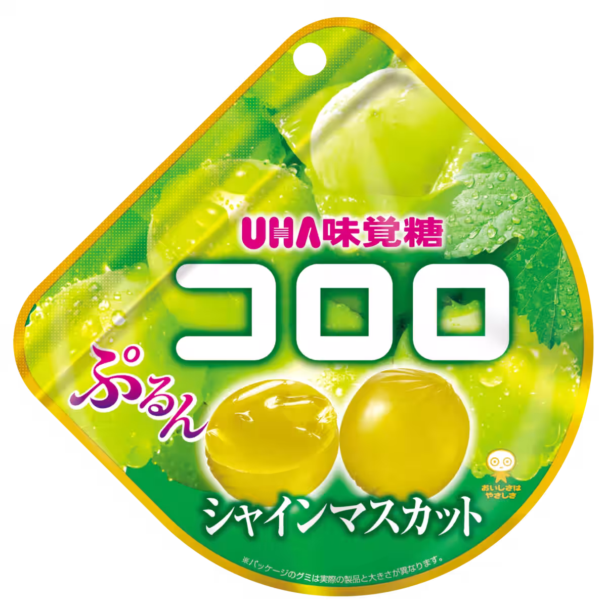 画像5