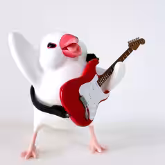 画像7