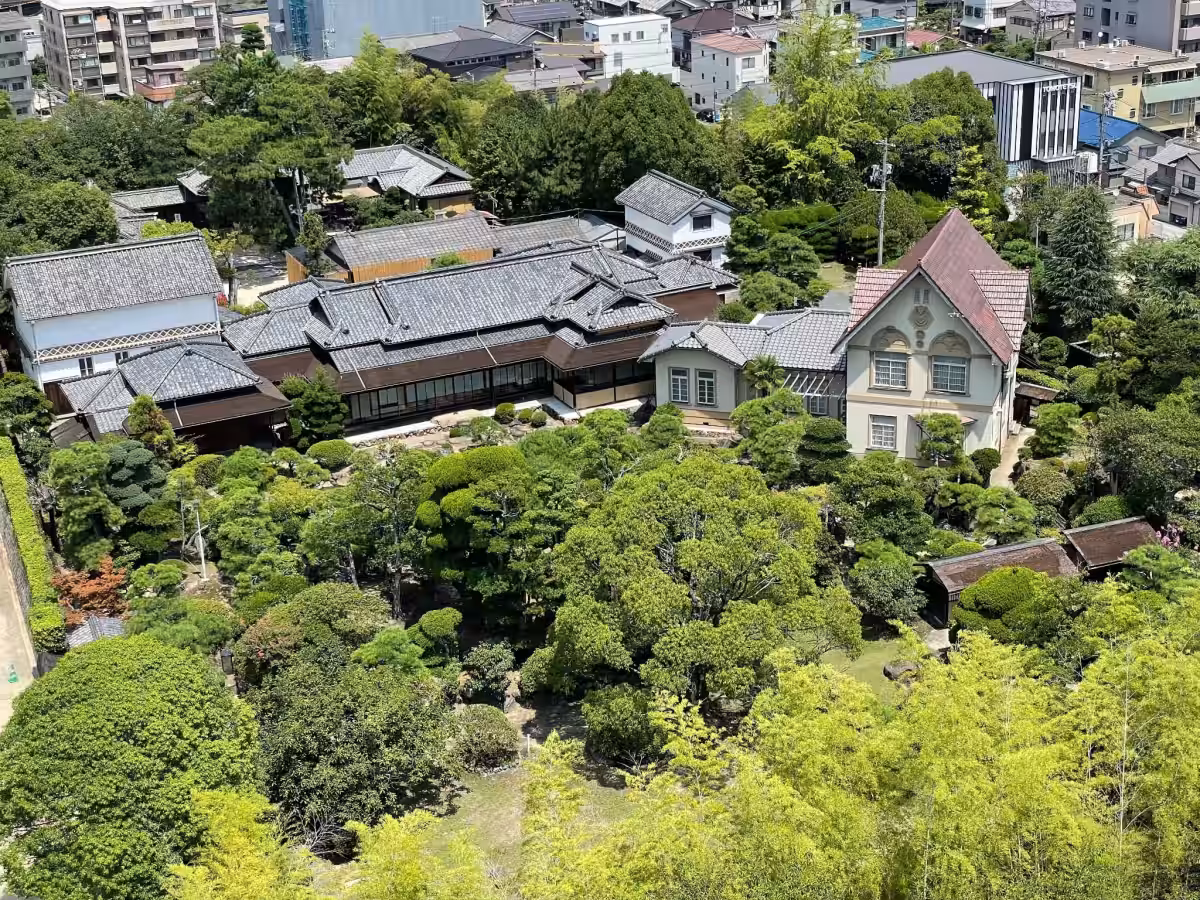 画像6