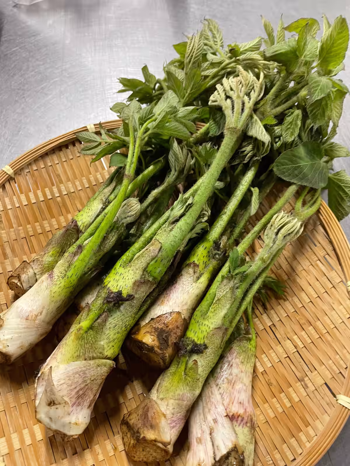 画像9