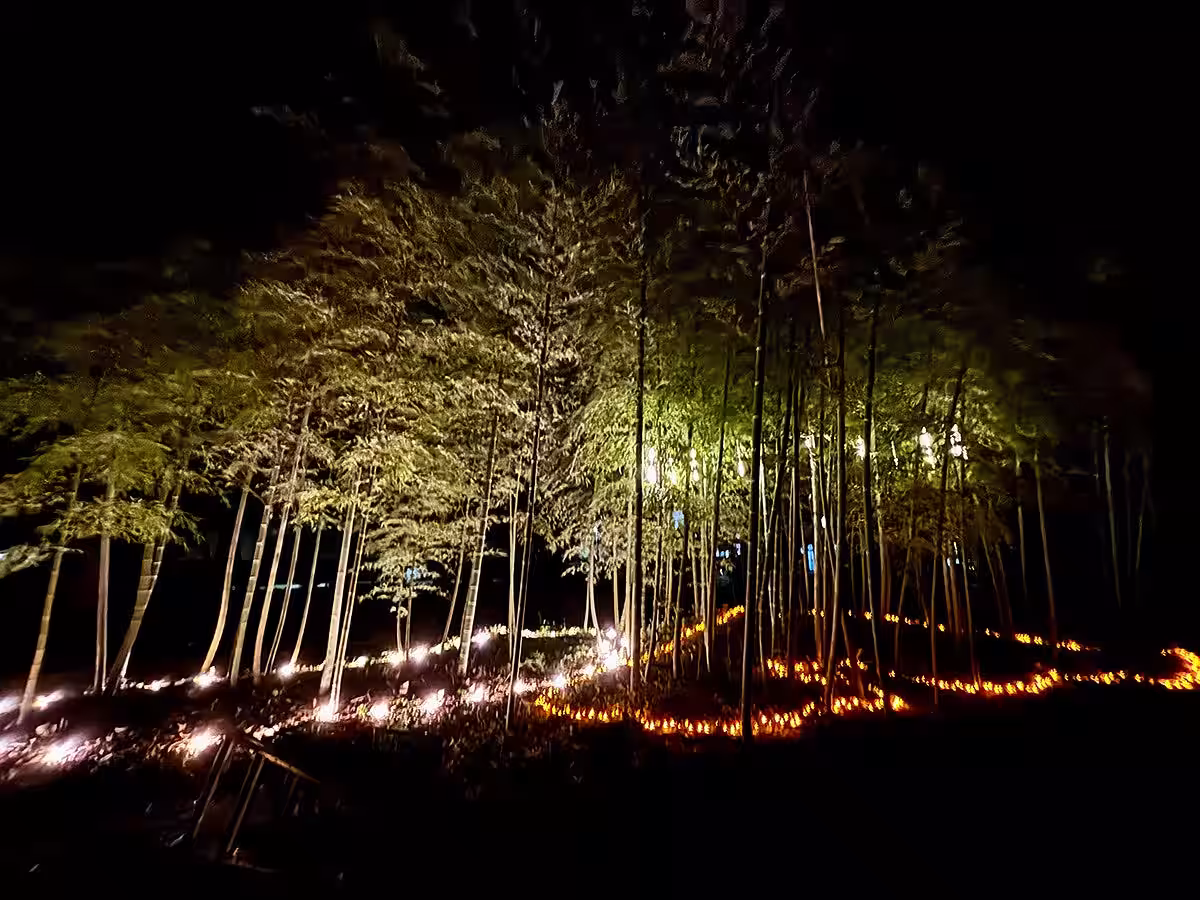 画像12