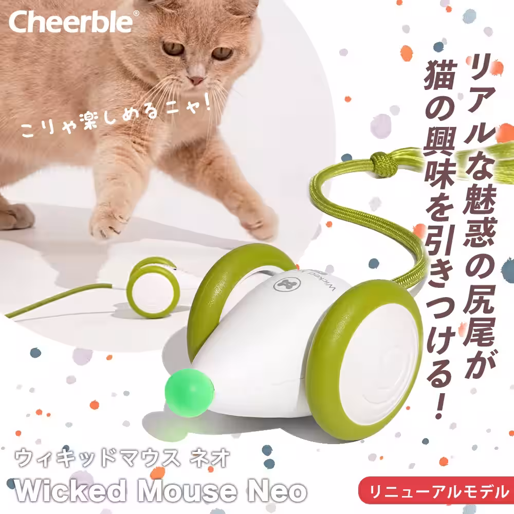 画像7
