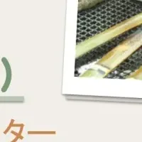炭火ハンバーグ体験