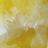 素材活かしたかき氷