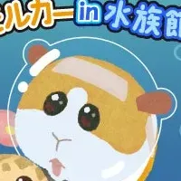 モルカー水族館くじ