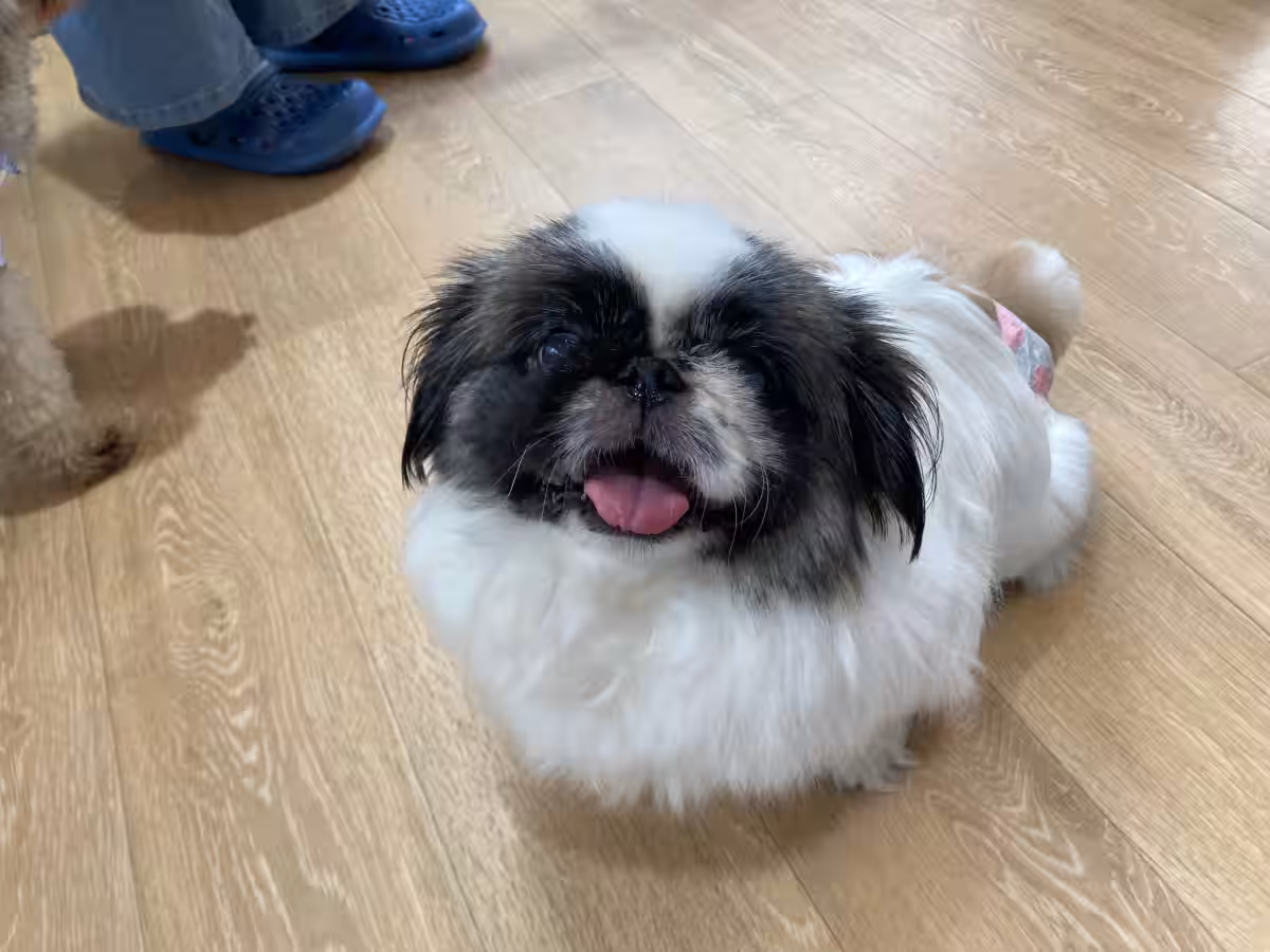 画像10