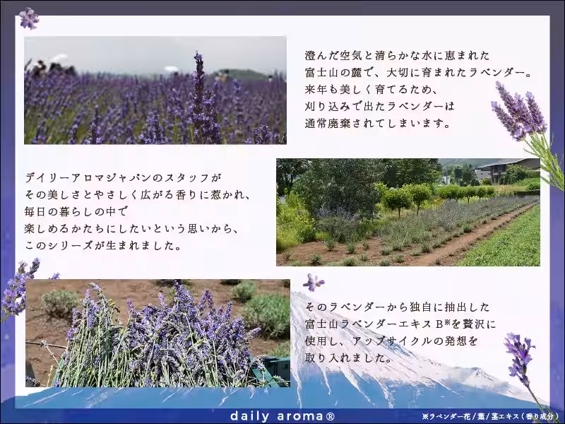 画像11