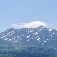 初夏の富良野魅力