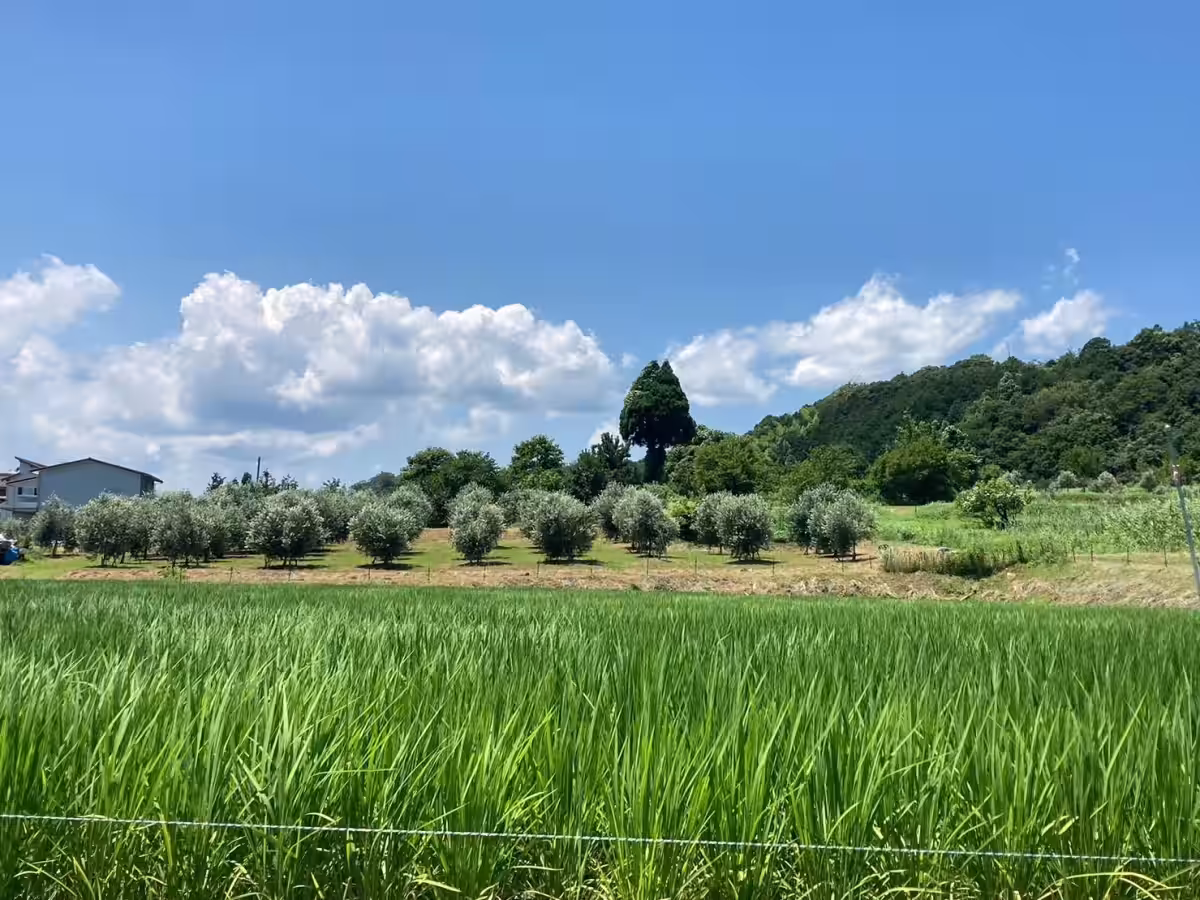 画像16