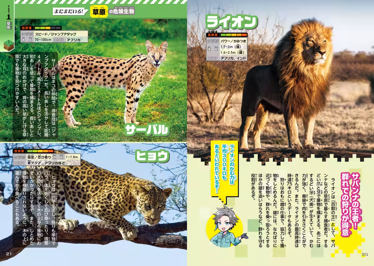画像8