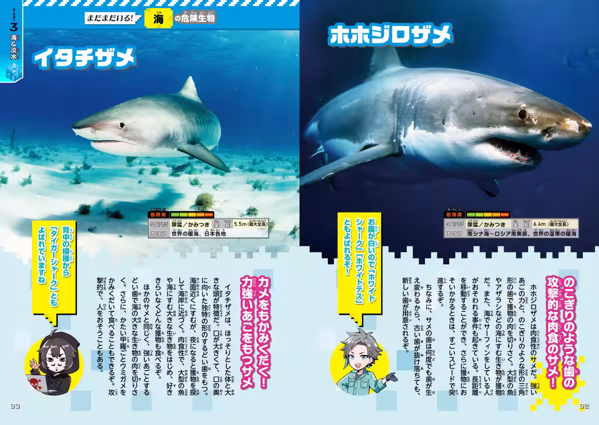 画像6