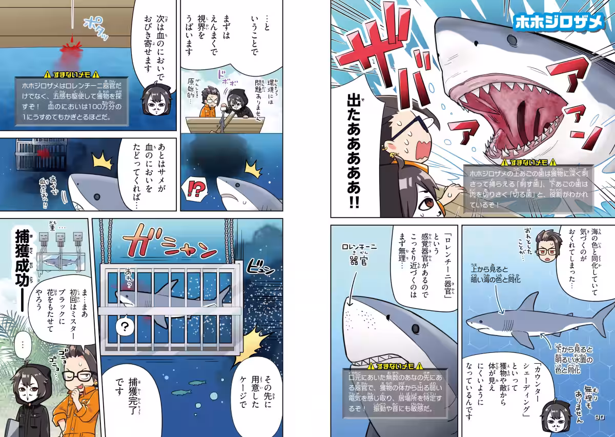 画像5