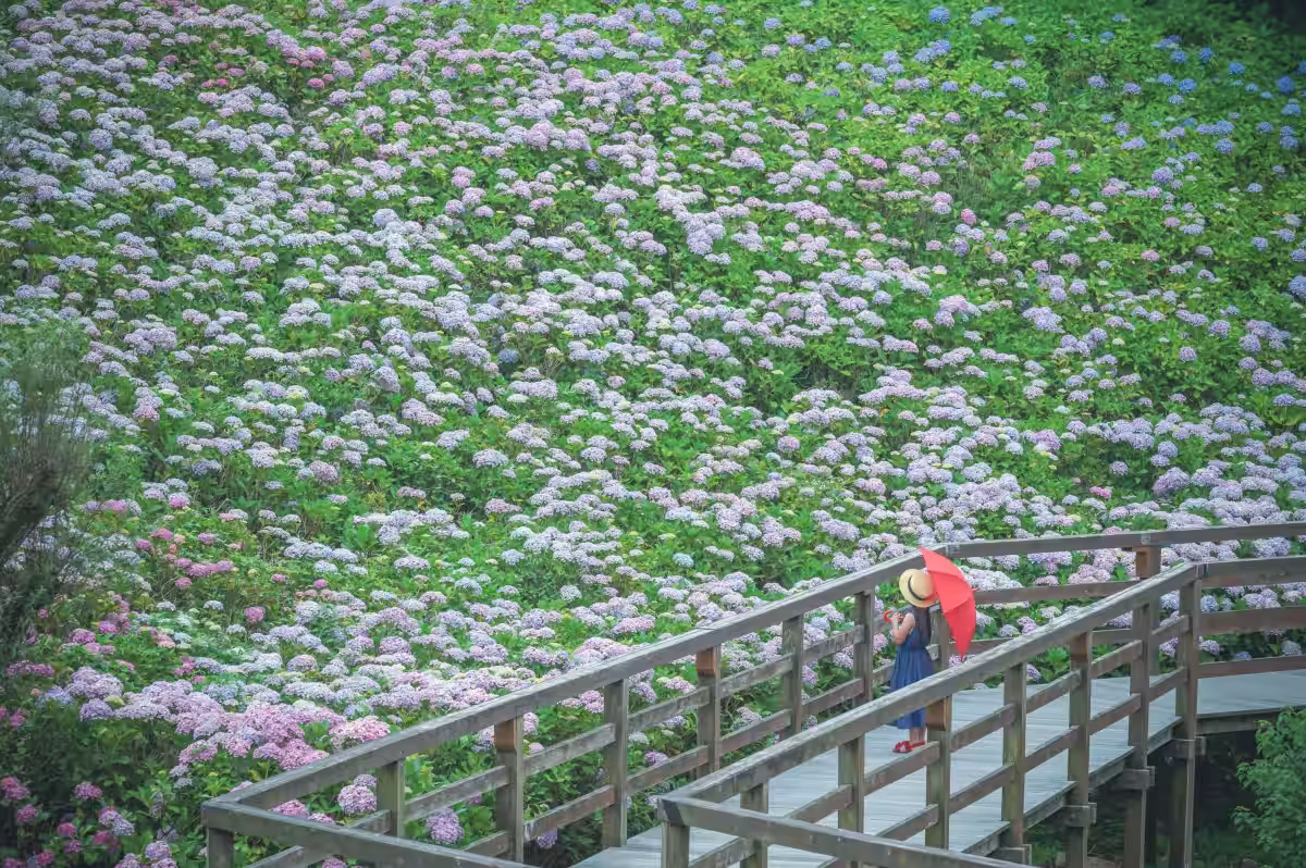 画像9