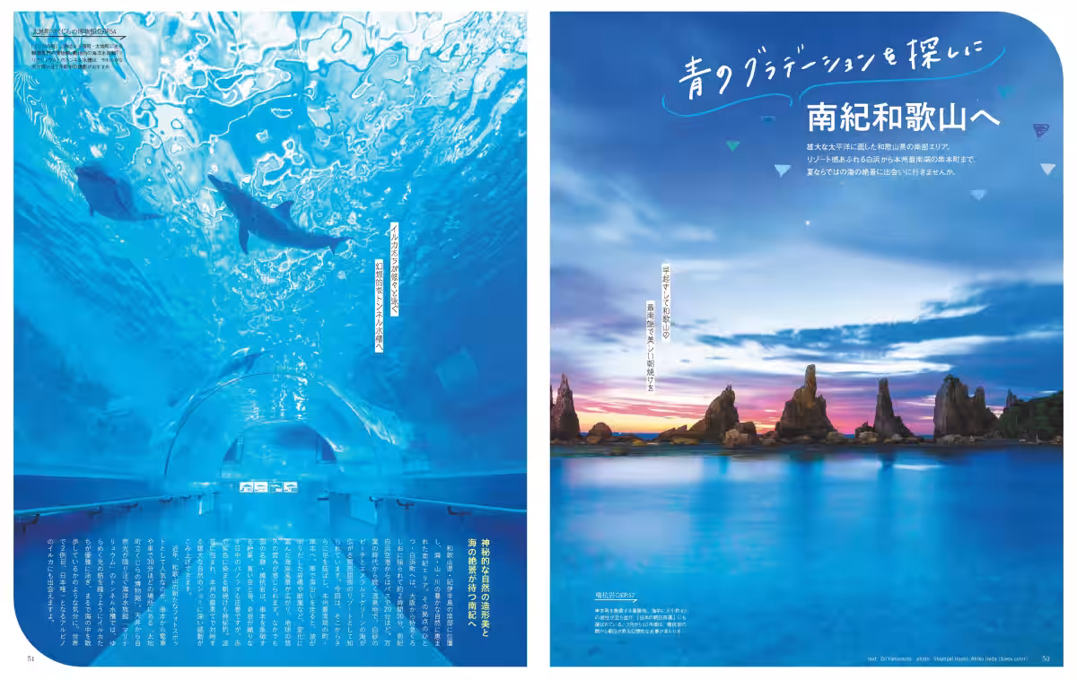 画像8