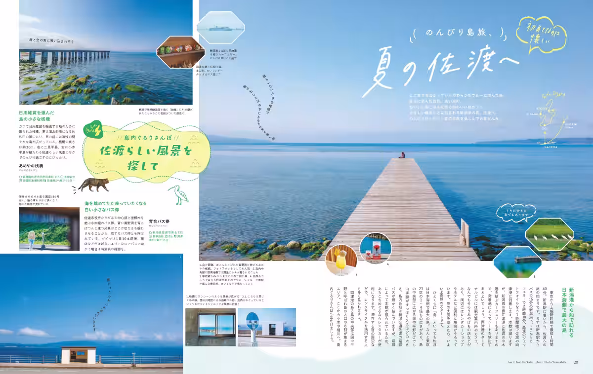 画像6