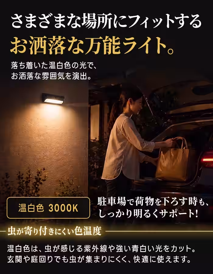 画像9