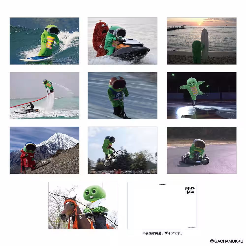 画像4