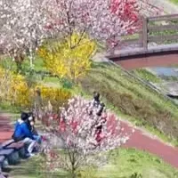 春のフォトコンテスト
