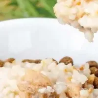 愛犬の夏の食事