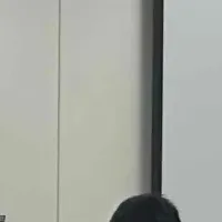 ノジマの新研修