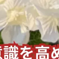 新しい防犯啓発グッズ