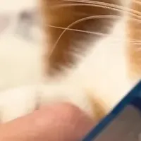 新CM第3弾発表