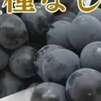 栃木の贈り物