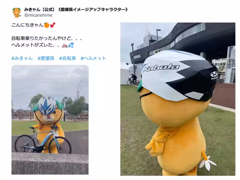画像7