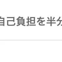 IT導入補助金活用法