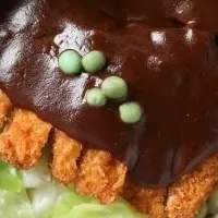 岡山照らし隊始動