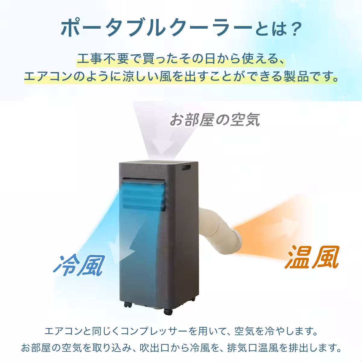 画像19
