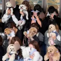 鼻ぺちゃ学園オフ会