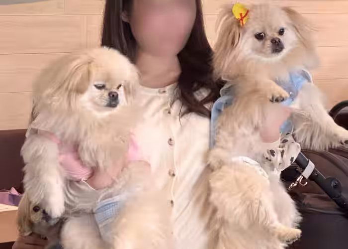 画像7